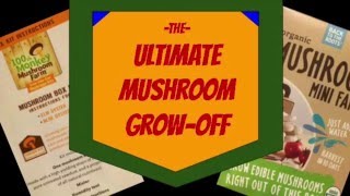 The Ultimate Mushroom Grow-Off! 100th Monkey vs. Back To The Roots