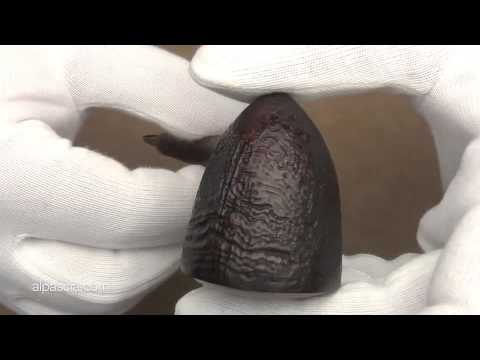 pipa Holmer Knudsen 016 - pipe smoking