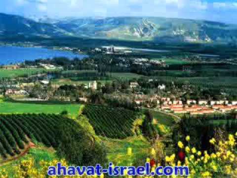 אני חוזר הביתה - ani chozer habaita