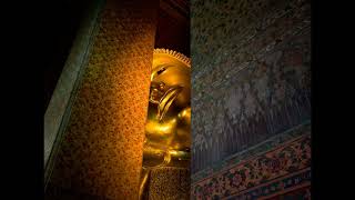 Thievery Corporation - One