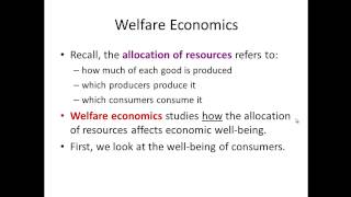 Micro Chapter 7 Welfare Economics