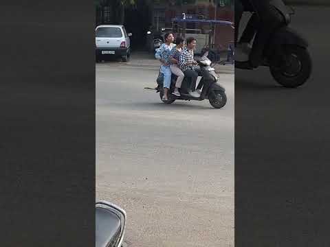 vidyadhar Nagar road king dog 👿👿👿🦮🦮🦮🦮