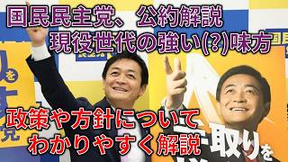 25分でわかる国民民主党の政策とどんな人が投票すべきか