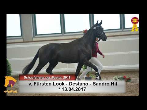 8 Fürsten Look - Destano