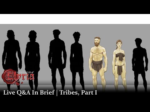 Tribes System Detailed During Recent Stream Event