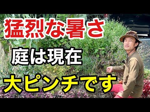 厚いプランターで湿気を保つ