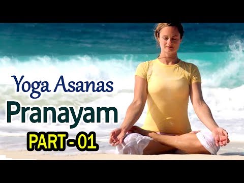 Pranayama Yoga For Beginners | Pranayama Yoga Exercise | Pranayama Techniques in Telugu | Part 1