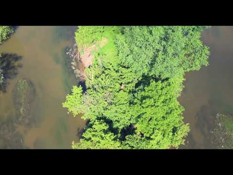 download lagu mp3 mp4 River Raisin Monroe Mi, download lagu River Raisin Monroe Mi gratis, unduh video klip River Raisin Monroe Mi