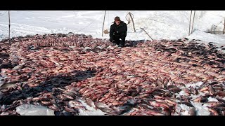 Отчеты о рыбалке на реке созь