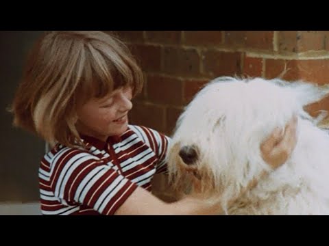 Digby, the Biggest Dog in the World (1973)