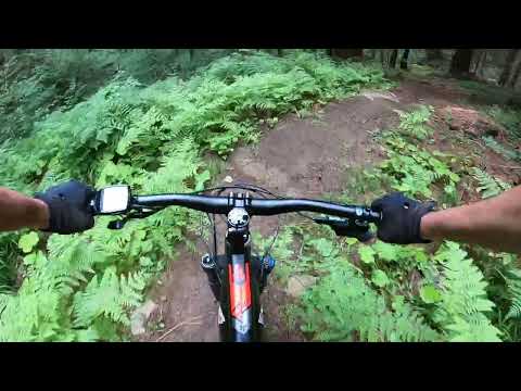 e.bike Folgarida Grostè Folgarida