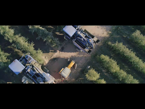 download lagu mp3 mp4 O Live Olive Oil, download lagu O Live Olive Oil gratis, unduh video klip O Live Olive Oil