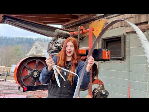 Carbide Saw-blades; are they worth the money? All you need to know + more!