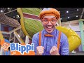 Playing And Learning With Kids Toys At The Children S Museum With Blippi Learning For Kids