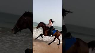galloping horse riding by a beautiful lady on the beach #viralvideo