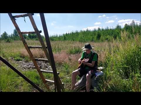 Potulný zpěvák Gregor a čaroděj Sazim