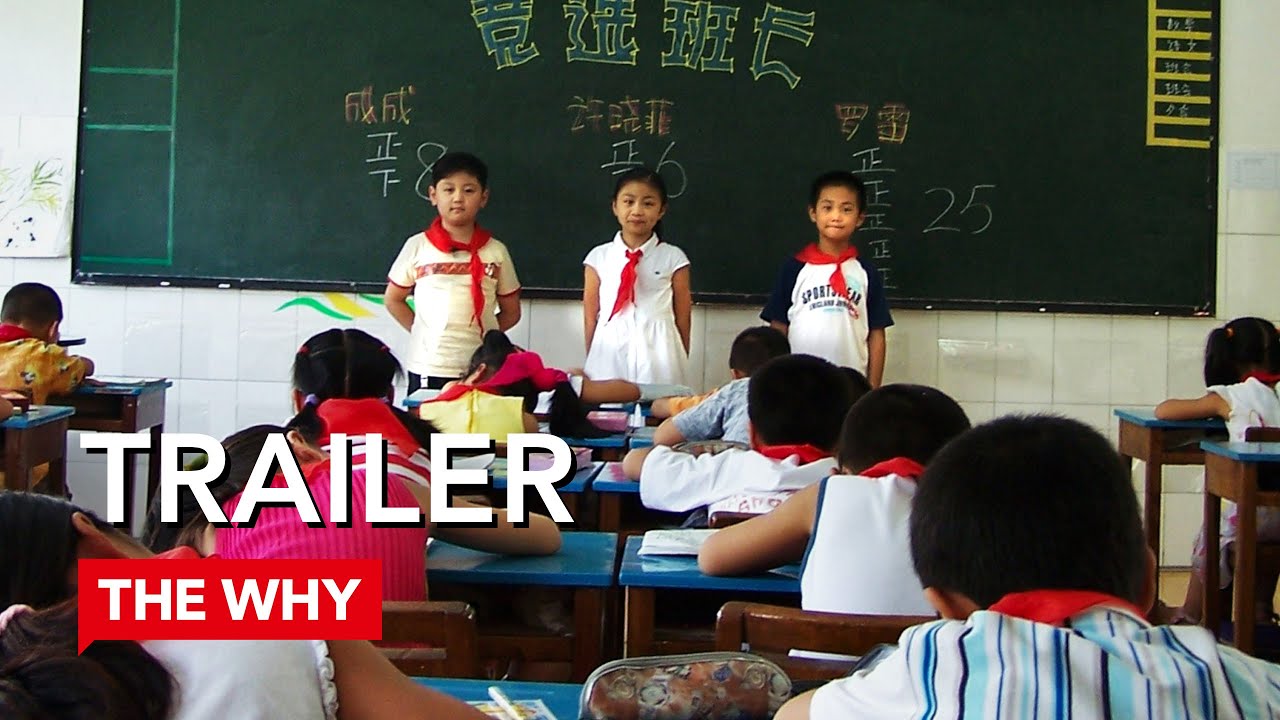 Please Vote for Me trailer