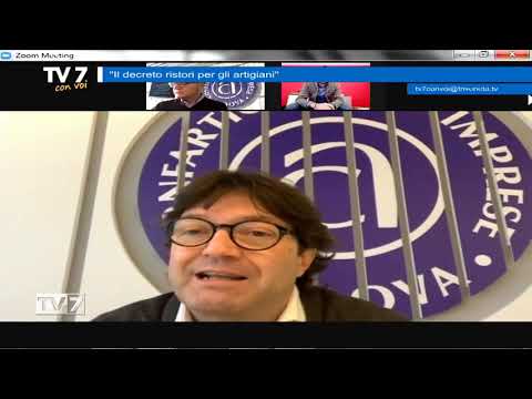 Tv7 con Voi del 11/11/2020 - Decreto ristori per gli artigiani (1 di 3)