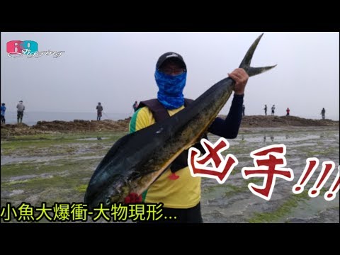 [69jigging] 兇手原來是它們!!??小魚大爆衝之大物現形-鼻頭角200礁釣遊2018/05/Shore Fish Taiwa...69鐵板路亞工坊