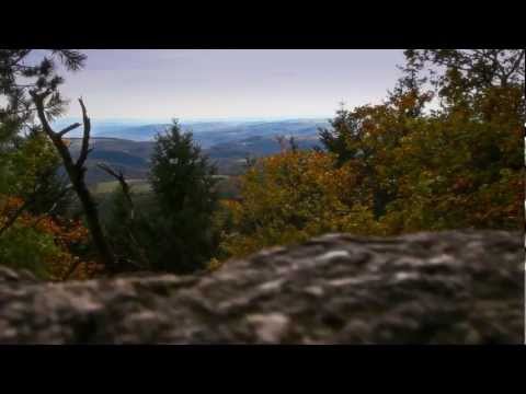 Soonwaldsteig - Impressionen