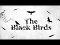 Soul Quakin' - The Black Birds 