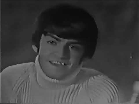 Where The Action Is!  full episode Dec 21,1966 Turtles, Tommy Roe, Paul Revere & Raiders, Hard Times