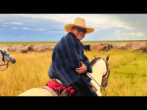 Jorge Guerrero - Novilla Reventadora (Vídeo Letra)