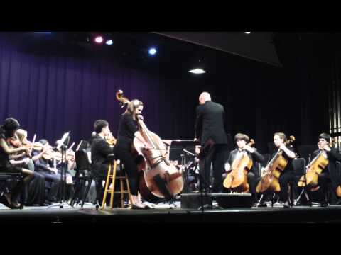 Elegy by Giovanni Bottesini for Double Bass and String Orchestra