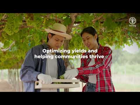Transforming Agriculture with AI: FAO's Vision for a Sustainable Future for All