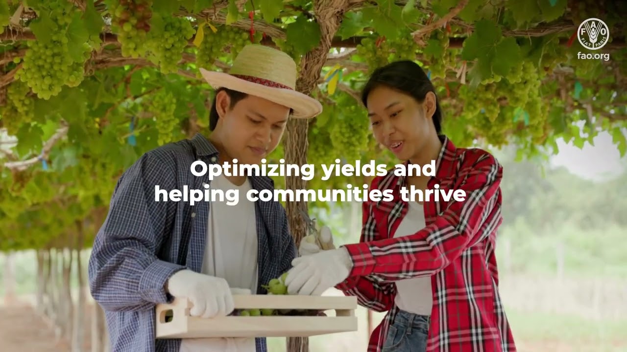 Transforming Agriculture with AI: FAO's Vision for a Sustainable Future for All