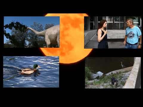 Sans feux d'artifice, sans pétard, mes meilleurs voeux pour 2021 !...et 2026 aussi :-)