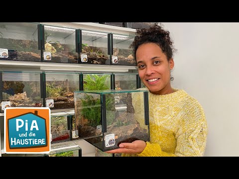 Asseln | Information für Kinder | Pia und die Haustiere