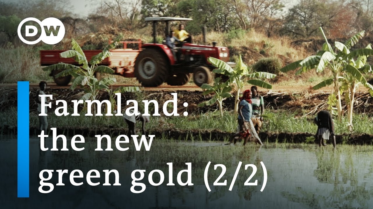 The dark side of agriculture in Ethiopia (2/2)