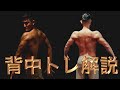 【筋トレ】ダン式背中トレ徹底解説