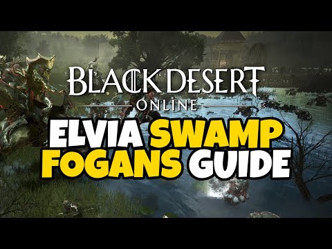 Bdo Fogans