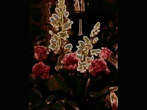 Tapio Rautavaara  -  Linnunrata