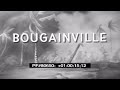 Bougainville 1943 1945 WWII 80650