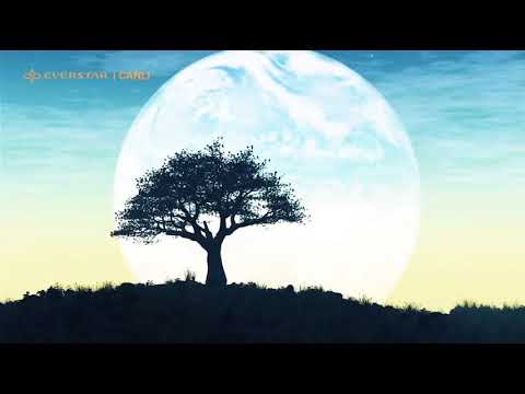 NAMI CELiLi MUHAMMEDi nin güneşin doğup battığı her yere ulaşacaktır 