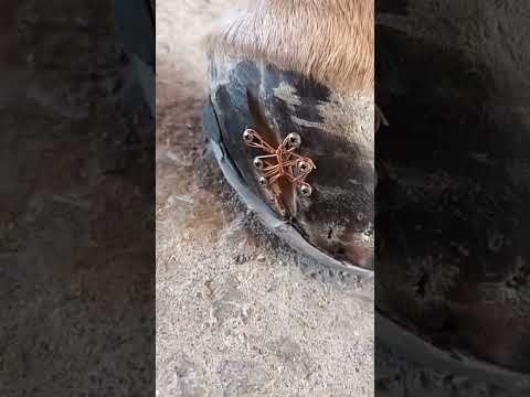 Cuarto descendente , Quatercrack