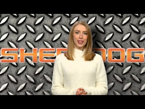 Sean O'Malley To Undergo Surgery On Foot Injury Sustained At UFC 222