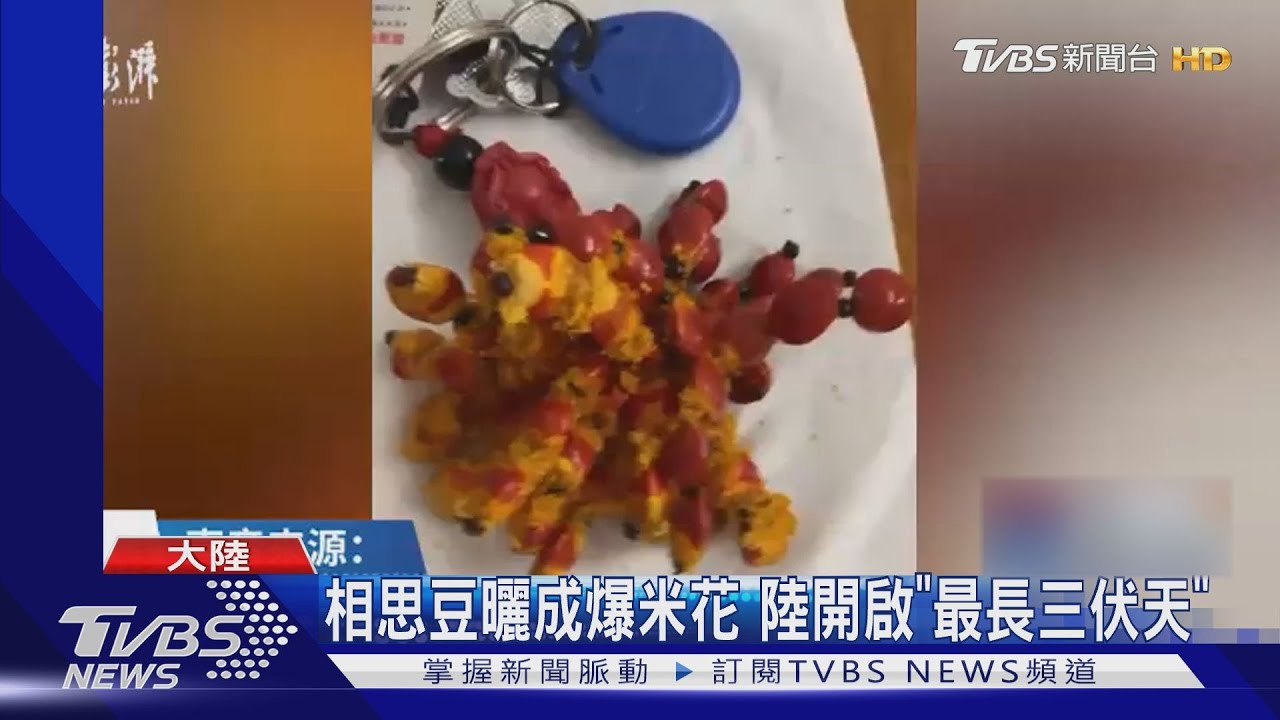相思豆放車內熱到爆開　網友：像爆米花好想吃