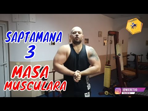 MASA MUSCULARA | TOATE MESELE | SAPTAMANA 3