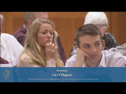 2014.02.22 Convention on the Constitution. Summary by Lia O'Hegarty