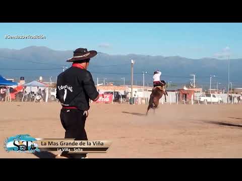 60 Programa. La Mas Grande de La Viña - Salta