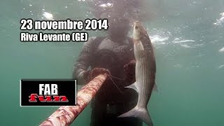 preview picture of video 'Pesca Sub - Liguria, Riva Levante: ultima uscita dell'anno - Spearfishing, Chasse sous-marine'