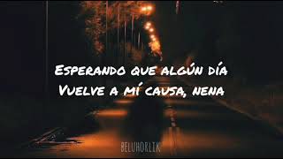 The night / The Animals (letra)