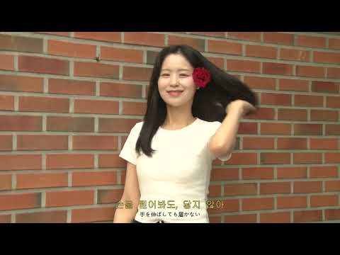 비디오 15