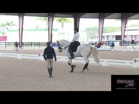 Robert Dover: How To Collect the Canter
