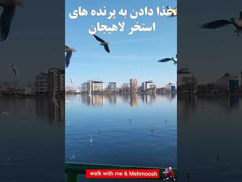 The Kind People of Lahijan and Migratory Birds  🇮🇷 : Pieces of Bread in the Air ایران