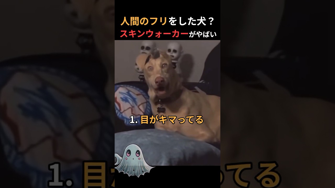 あなたのペットは大丈夫？スキンウォーカーに気をつけろ！#shorts #都市伝説 #怖い話 #ホラー #雑学